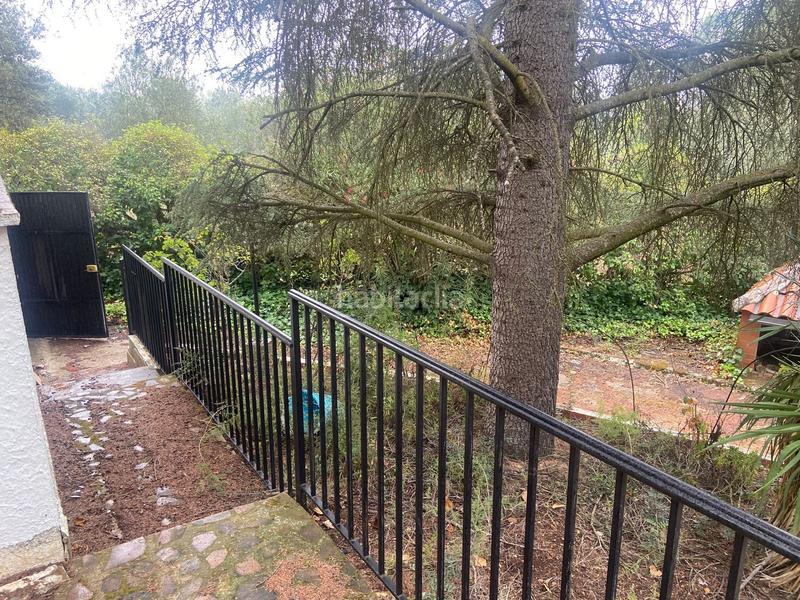 Foto 1fa06172-5ccf-4d46-81e5-5ef3fb5a8666. Chalet en avenida yedra en Piedrabuena