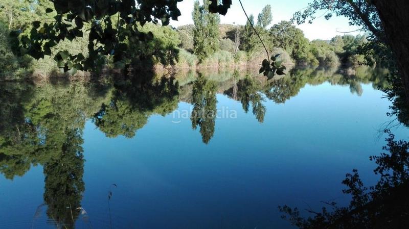 Foto 6d6a60c7-a7c5-402d-a492-211a1ee0d885. Xalet a avenida yedra a Piedrabuena