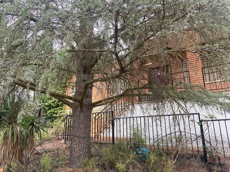 Foto c908e082-957b-4679-9327-08ddfbf76f92. Xalet a avenida yedra a Piedrabuena