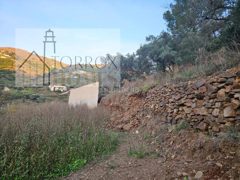 Foto 9ed51a79-6cc7-4956-b994-88bedae3ab5d. Bauernhof in Torrox pueblo Torrox