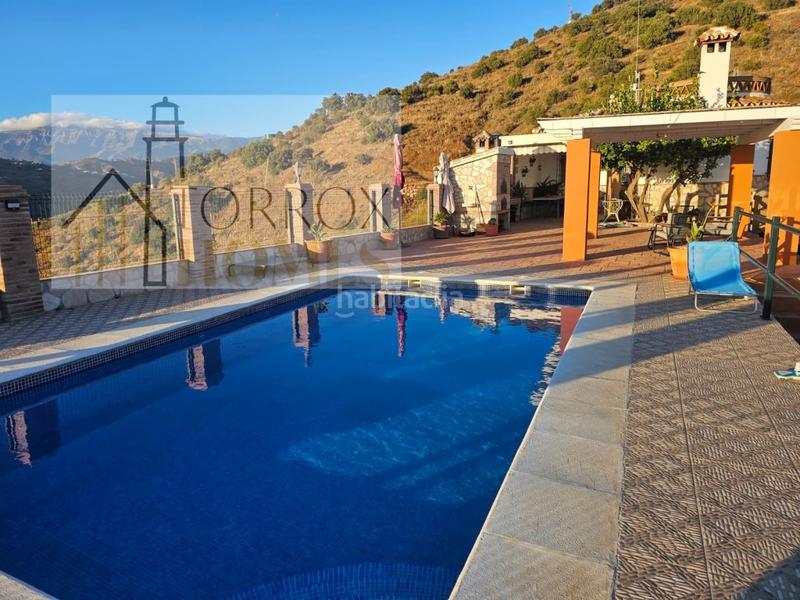 Foto 642107dd-ca54-418c-9ec8-9f45c30dc34e. Mas dans Torrox pueblo Torrox