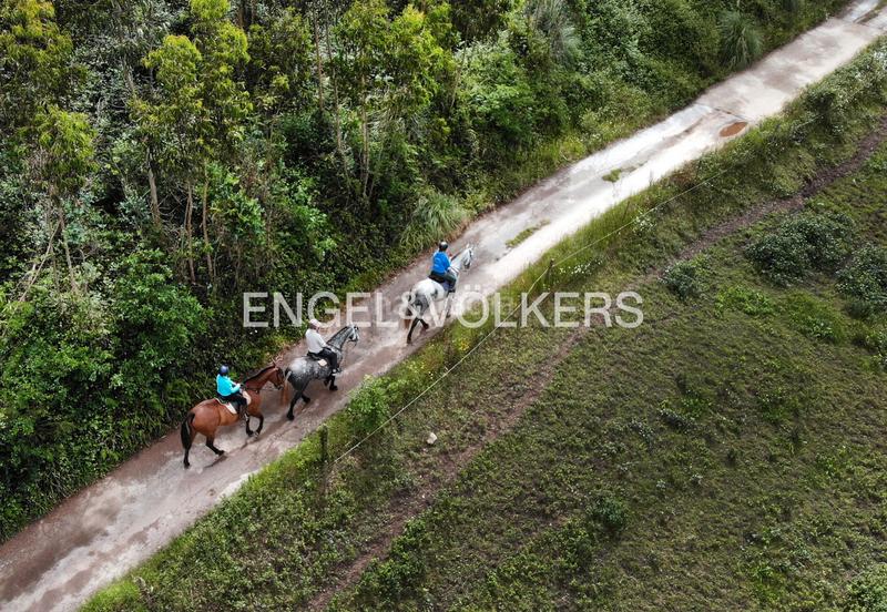 Foto 07e44af4-b7ba-48ed-9d85-1a015e2a437d. Terreno residenziale in Renedo Piélagos