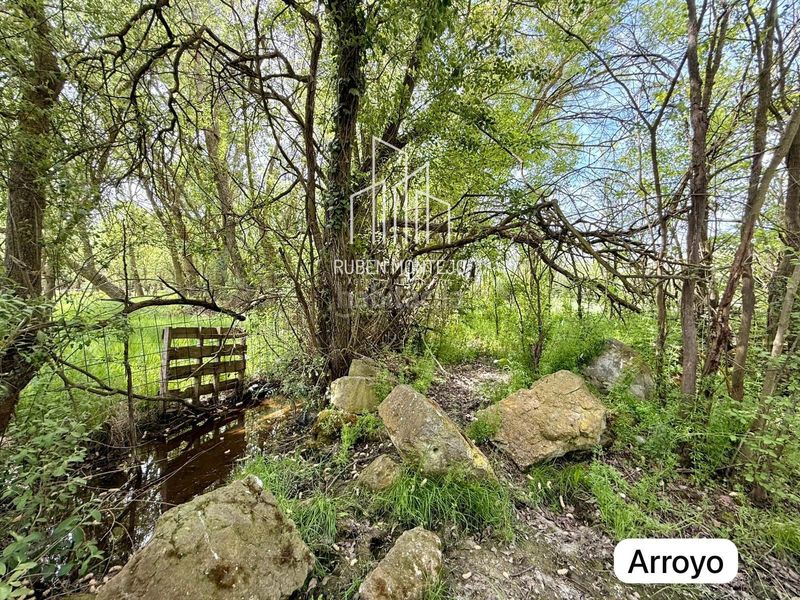 Foto 3d89e7bb-32f1-4d44-b967-cd7f0886fda3. Casa a Zarapicos