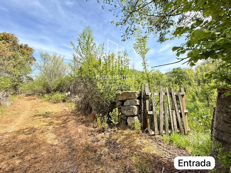 Foto 5f70035d-297a-4a32-97ff-3583de908d7b. Casa a Zarapicos