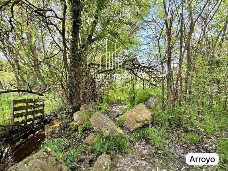 Foto c1901dfc-6383-4618-9b86-09434b21930d. Casa a Zarapicos