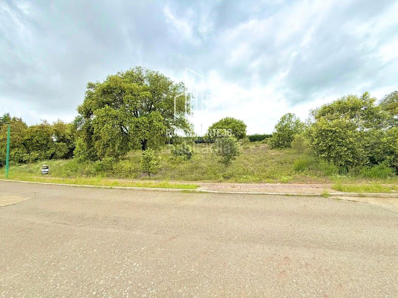 Foto 894d178c-3873-424e-9f9e-d2f5e4623c89. Finca rústica a Carrascal de Barregas