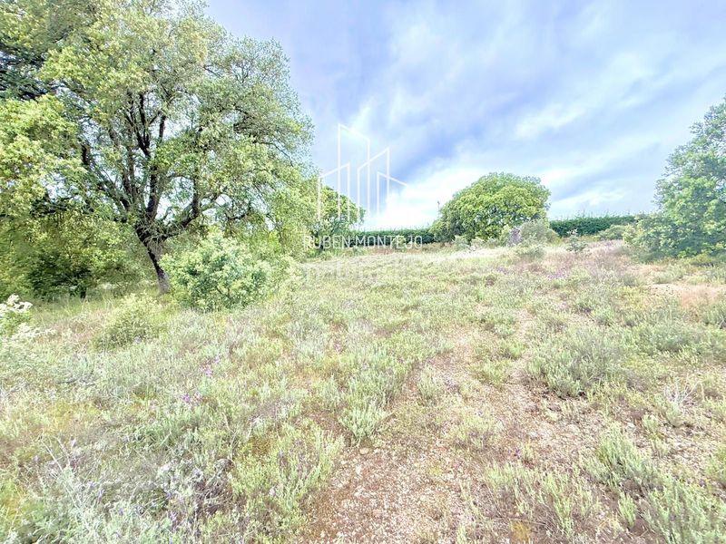 Foto c345ad2c-5e9e-4399-8ea8-1b7bb32bbd2f. Finca rústica a Carrascal de Barregas