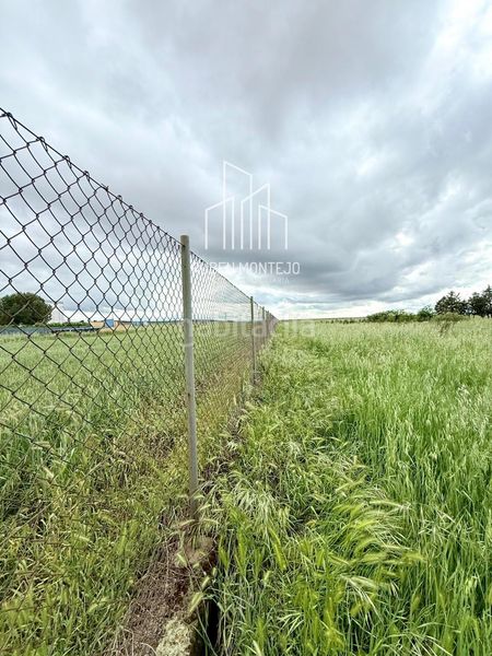 Foto d1fdd854-75d9-49eb-81ee-e31a4d4eb730. Finca rústica a Doñinos de Salamanca