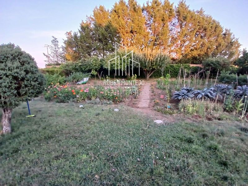 Foto 805d3555-a562-4c7c-b0a6-d07a6e61ad17. Finca rústica a San Cristóbal de la Cuesta