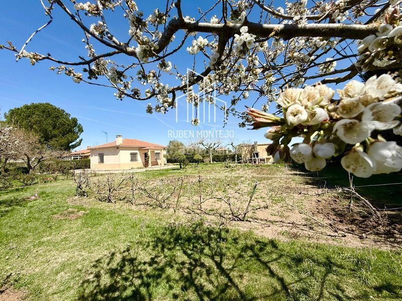 Foto d5eee89e-03f7-4253-95b7-0d31d5df49f7. Finca rústica a San Cristóbal de la Cuesta