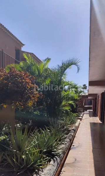 Foto f0fa08a9-9e87-4bdb-9547-15b5166ffb38. Pis a calle boreas 66 a Costa del Silencio Arona