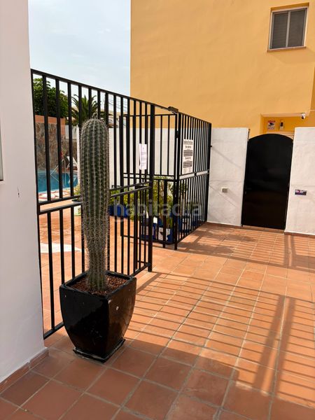 Foto 1b6b9a49-b0b1-4c66-9221-8ea735a438e4. Casa aparellada amb piscina a Palm - Mar Arona
