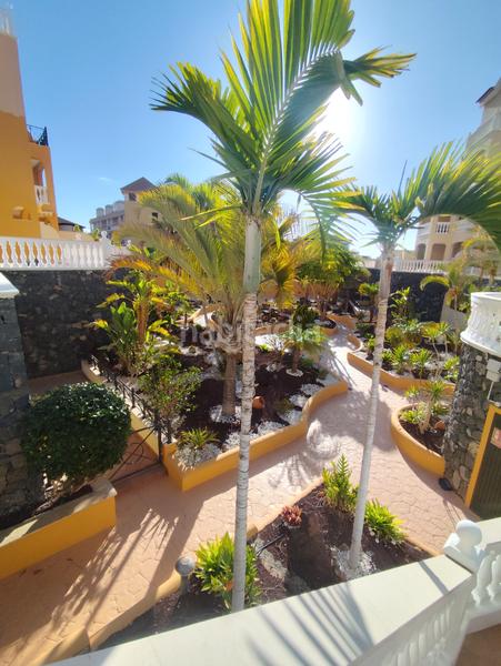 Foto 84bd8e1c-ed26-4589-9315-7eb060433592. Location attique dans calle la marea 3 dans Los Cristianos Arona