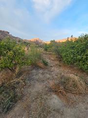 Finca rústica  Calle paraje abriojal. Parcela de regadio 1250 m2