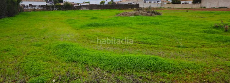 Foto 052e9b1d-2163-4055-ab7e-e39a03ae693c. Finca rústica a Las Lagunas - Campano Chiclana de la Frontera