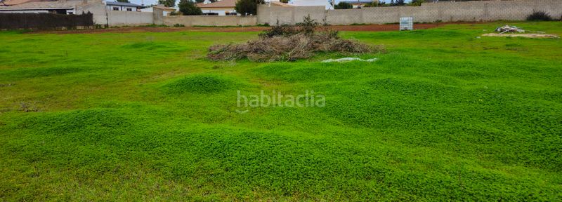 Foto 0c53a814-8c34-43fa-943c-9ef3e237175a. Finca rústica a Las Lagunas - Campano Chiclana de la Frontera