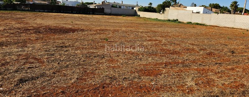 Foto 6afc72be-65a1-4930-abd8-ed2ea086e2a7. Finca rústica a Las Lagunas - Campano Chiclana de la Frontera
