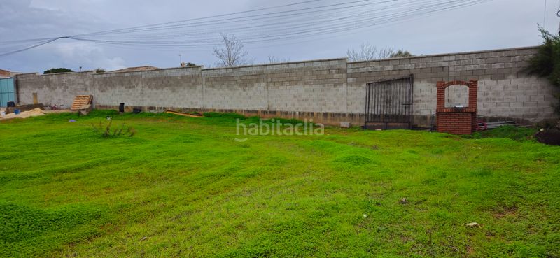 Foto e592cb6b-b76d-442d-8158-65d92f1d126e. Finca rústica a Las Lagunas - Campano Chiclana de la Frontera
