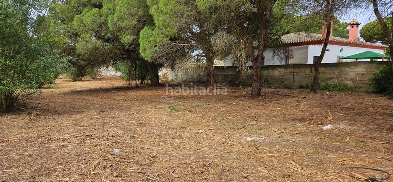 Foto 0d102812-6a77-4f29-9b4b-71076d717d76. Finca rústica a Las Lagunas - Campano Chiclana de la Frontera