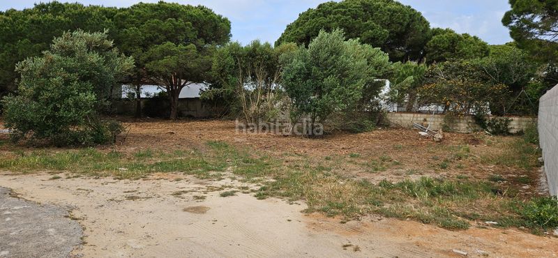 Foto 0dedce78-d625-4636-9783-52edcde09ec7. Finca rústica a Las Lagunas - Campano Chiclana de la Frontera