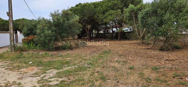 Foto 2d46aca4-d889-49e1-8dcf-9aa3f66a1220. Finca rústica a Las Lagunas - Campano Chiclana de la Frontera