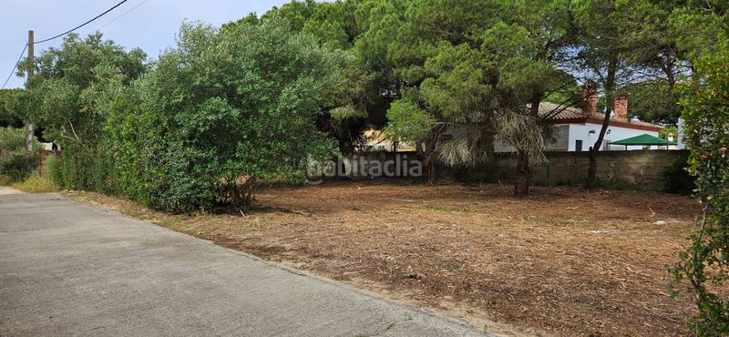 Foto 544b75f9-40a9-46b8-ace7-526910c1371b. Finca rústica a Las Lagunas - Campano Chiclana de la Frontera
