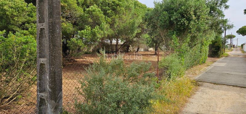 Foto b80f1fb8-73a4-46cb-9ca6-c242f5630920. Finca rústica a Las Lagunas - Campano Chiclana de la Frontera