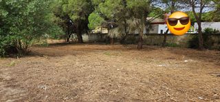 Finca rústica a Las Lagunas - Campano