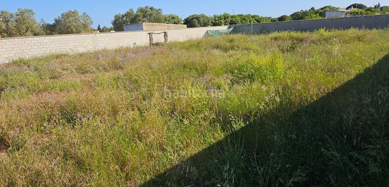 Foto b5d03ce1-6e24-47a4-a281-2eaaa45ca4c7. Finca rústica a Pelagatos - Pago del Humo Chiclana de la Frontera