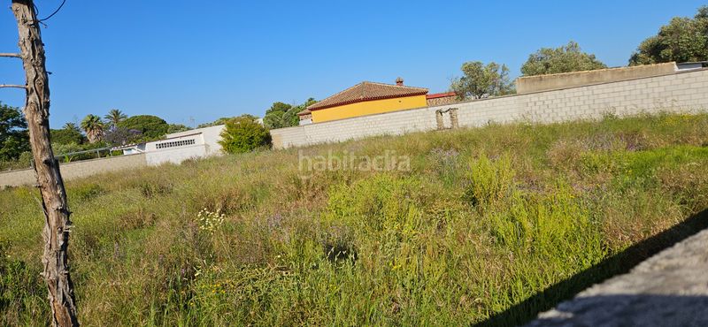 Foto ece679ac-8323-43c2-99be-51c0f14ed0d4. Finca rústica a Pelagatos - Pago del Humo Chiclana de la Frontera