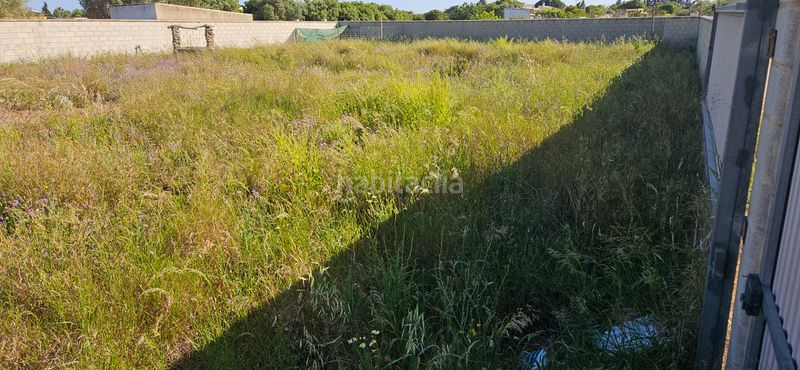 Foto f01b26ac-ca7e-4824-971a-c4f0987371fc. Finca rústica a Pelagatos - Pago del Humo Chiclana de la Frontera