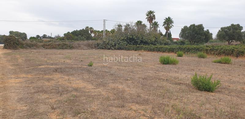 Foto 0200b305-2766-4a44-92bf-9489fda26fba. Finca rústica a Las Lagunas - Campano Chiclana de la Frontera