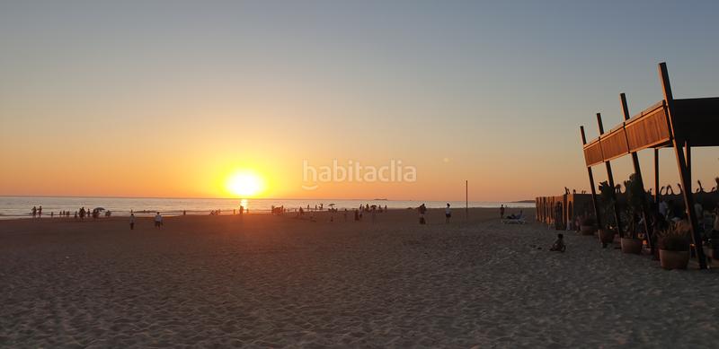 Foto 057b0424-8777-4208-aa7b-43f177d2b25d. Finca rústica a Las Lagunas - Campano Chiclana de la Frontera