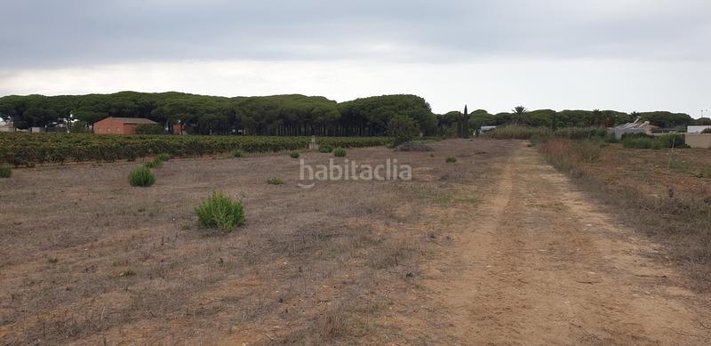 Foto 153d99bc-c585-425c-8e4f-d5bfb5eb05ef. Finca rústica a Las Lagunas - Campano Chiclana de la Frontera