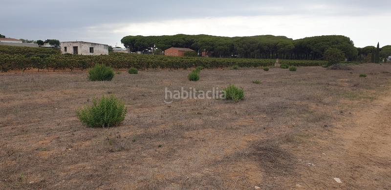 Foto 22ff5c60-a008-4d5b-a528-a87c909dfb7d. Finca rústica a Las Lagunas - Campano Chiclana de la Frontera