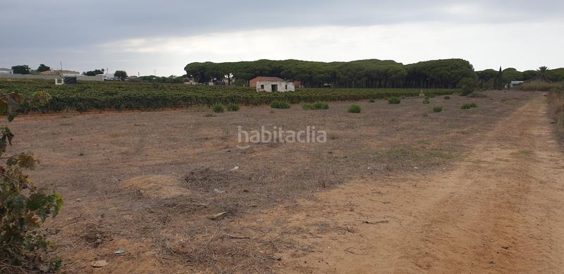 Foto 43c959ac-1081-4c90-88d8-26b780183a50. Finca rústica a Las Lagunas - Campano Chiclana de la Frontera