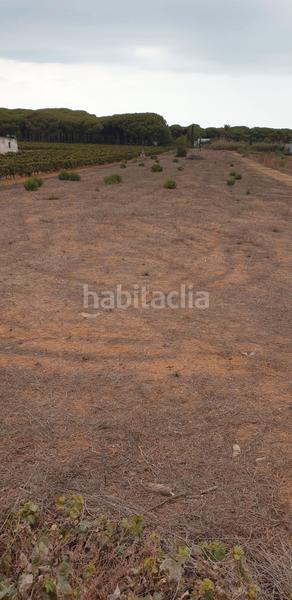 Foto 57052395-9e0b-418c-9485-ef5c4d6de5ea. Finca rústica a Las Lagunas - Campano Chiclana de la Frontera