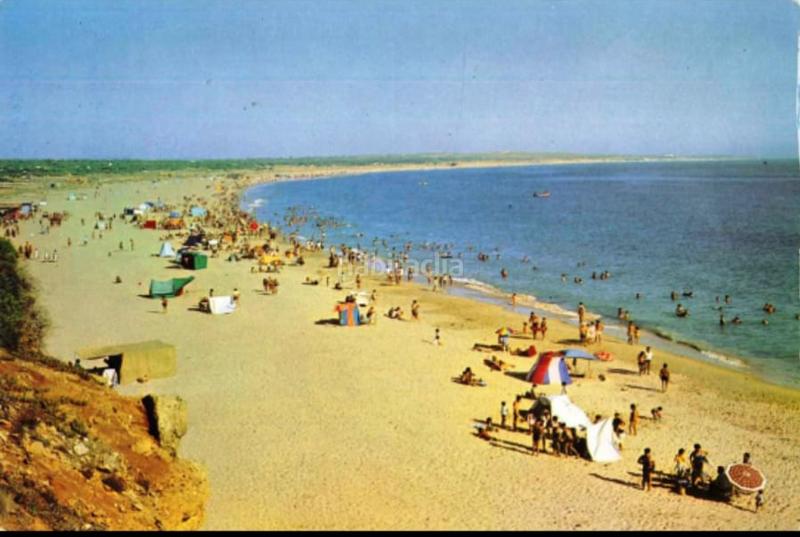 Foto 7563c310-ab8c-4197-90e8-890ee37d9217. Finca rústica a Las Lagunas - Campano Chiclana de la Frontera