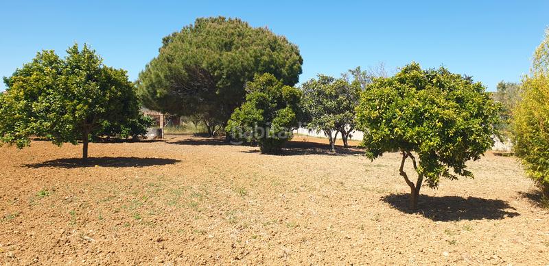 Foto 6a5d398c-c75a-4390-a395-684bd6e273f5. Fondo rustico in Pelagatos - Pago del Humo Chiclana de la Frontera