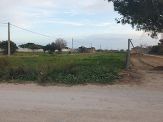 Finca rústica a Los Franceses - La Vega. Parcela de 1200m.