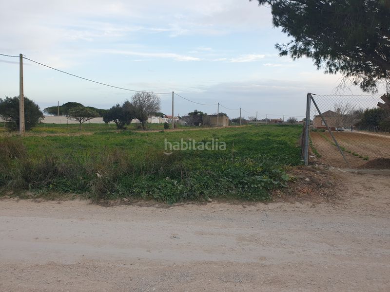 Foto 9197610f-9fc0-4a3d-9f9a-48a1e63d6ef3. Finca rústica a Los Franceses - La Vega Chiclana de la Frontera