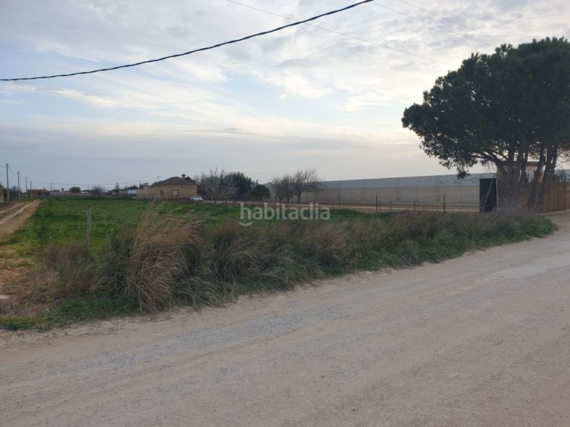 Foto c8f2413b-272a-4f81-acb4-e749c6abe884. Finca rústica a Los Franceses - La Vega Chiclana de la Frontera