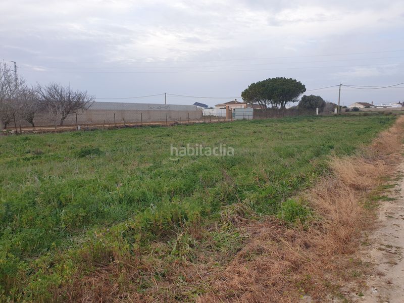 Foto eb1b0527-4ee1-40e2-a50d-2d50eefc87c5. Finca rústica a Los Franceses - La Vega Chiclana de la Frontera