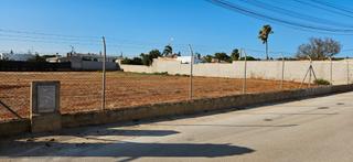 Propriété à Las Lagunas - Campano. Parcela segregada.
