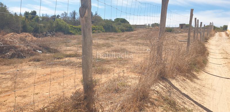 Foto 7003fb6d-c900-4597-9b0c-2c7c4cf4b03b. Finca rústica a Las Lagunas - Campano Chiclana de la Frontera