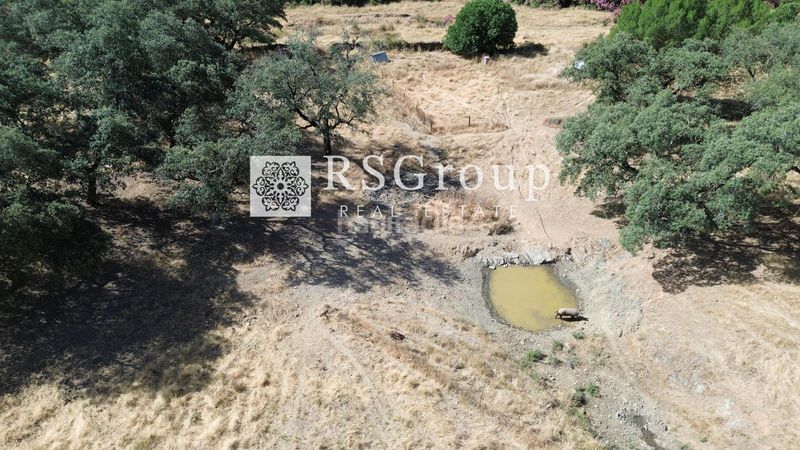 Foto 5466385c-f4b8-44b7-bbe9-2950d7b7c388. Finca rústica a Almadén de la Plata