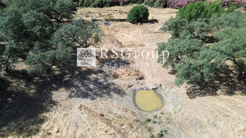 Foto 5e75d08c-2b6a-4aea-a95e-ce7dc52c4cb0. Finca rústica a Almadén de la Plata