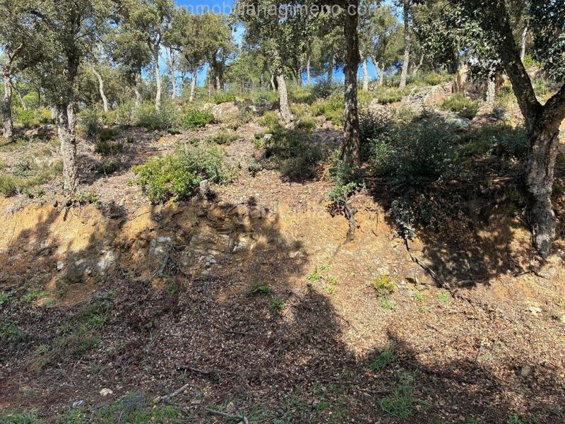 Foto c2e2ba76-ba62-48c8-a6d0-b125e68402d0. Terreny residencial a Aiguaviva Parc Vidreres
