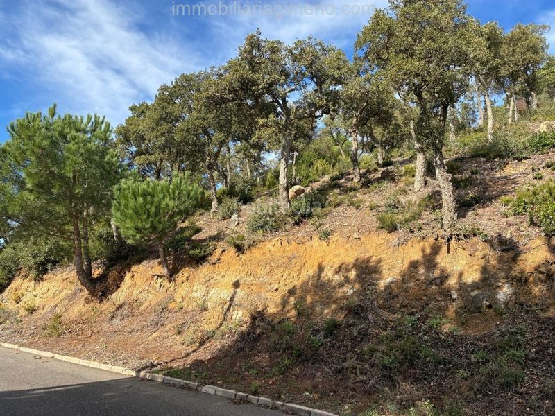 Foto dd519df5-1acc-4a51-915e-6bc9d03c80c2. Terreny residencial a Aiguaviva Parc Vidreres