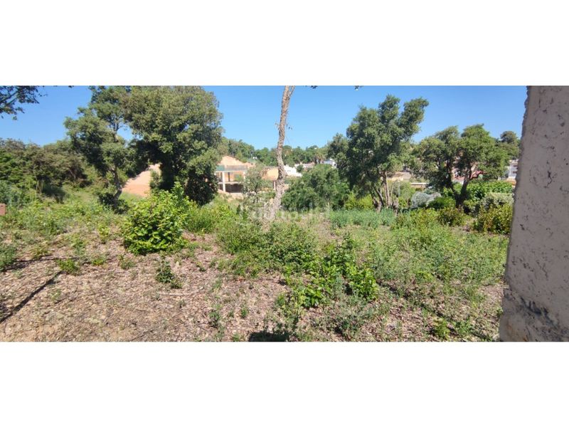 Foto e72f8384-2d24-43f2-850e-dfa27fa11caf. Terreny residencial a Lloret Verd - Els Pinars Lloret de Mar